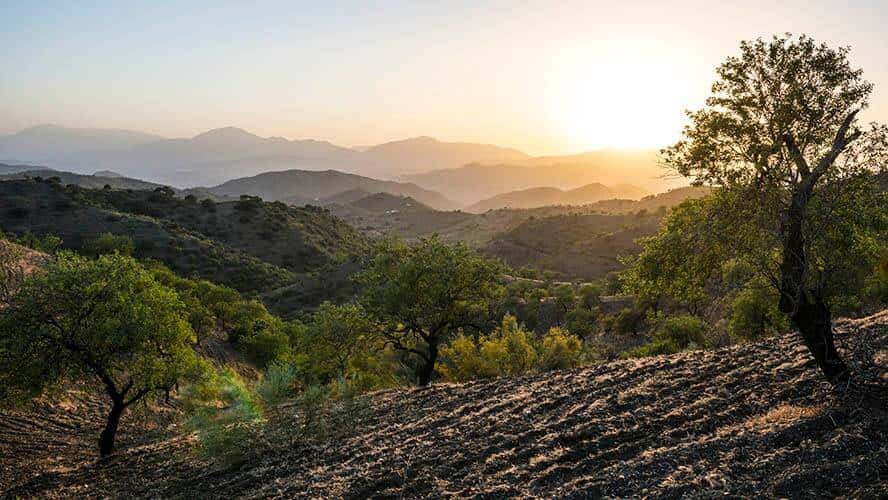 Montes de Malaga park - Costa del Sol