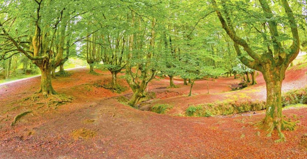 Gorbea Natural Park